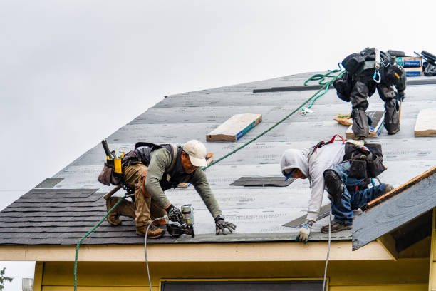 Professional Emergency Roof Repair technician working in Churchville, NY